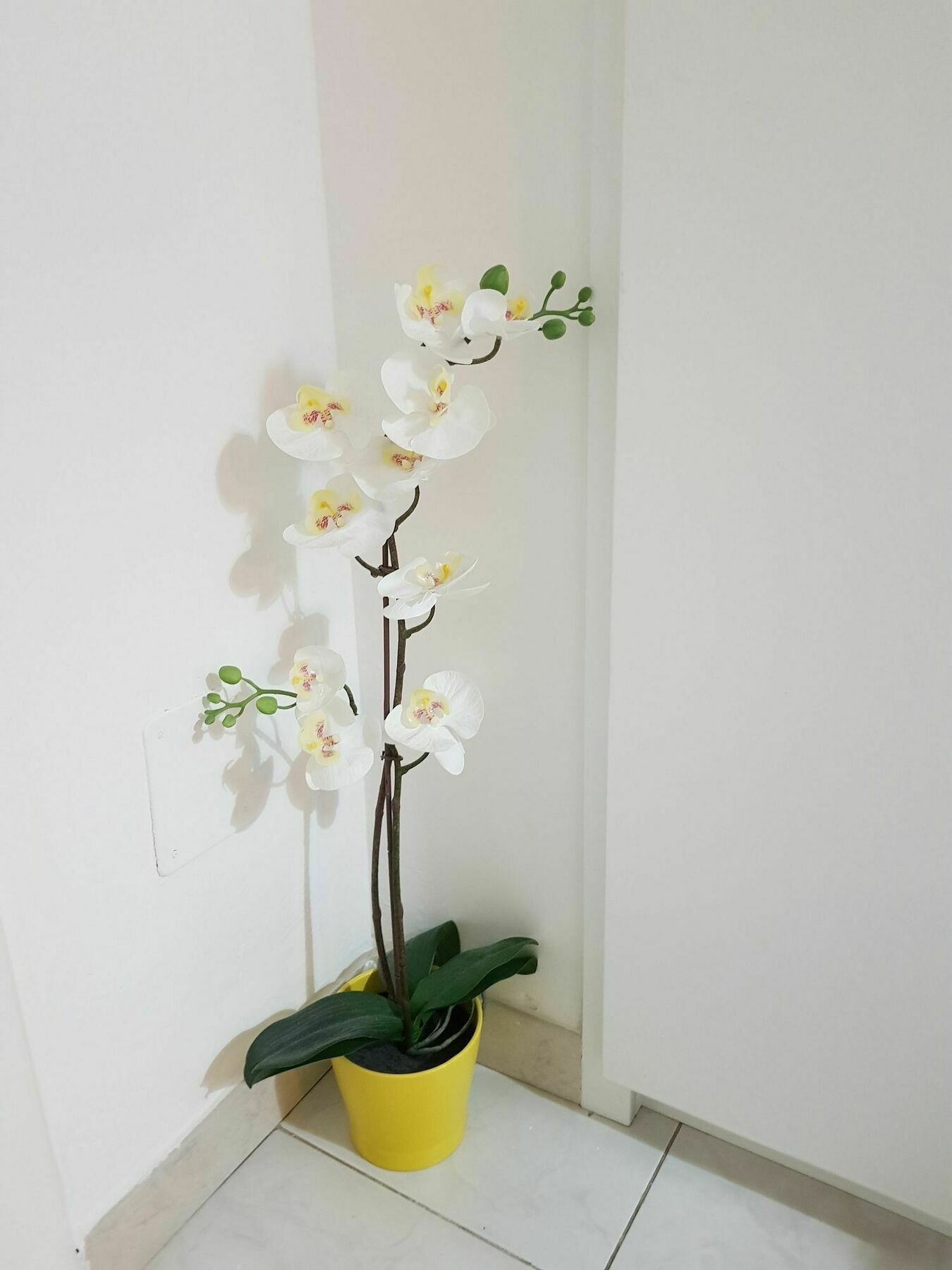 Apartment Happy Lecce
